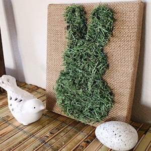 Art sur toile de lapin recouvert de mousse