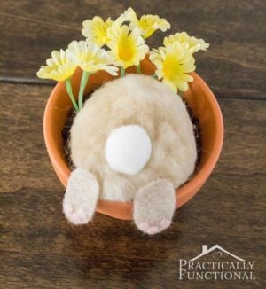 Curieux lapin à l'envers dans un pot de fleur