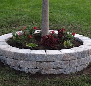 Jardinière pour mur de soutènement avec des fleurs autour d'un arbre