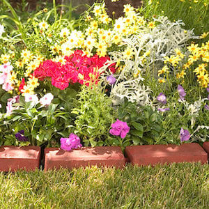 Bordure de brique pas cher avec des fleurs