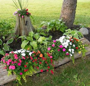 Idée d'aménagement paysager de jardinière de fleurs de souche d'arbre