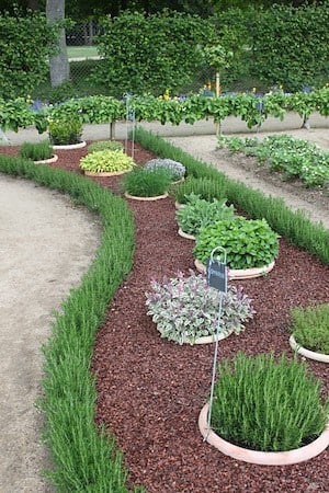 jardin d'herbes aromatiques