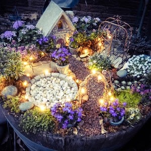 lumières magiques dans le jardin des fées