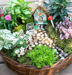 Jardin de fées en panier en osier