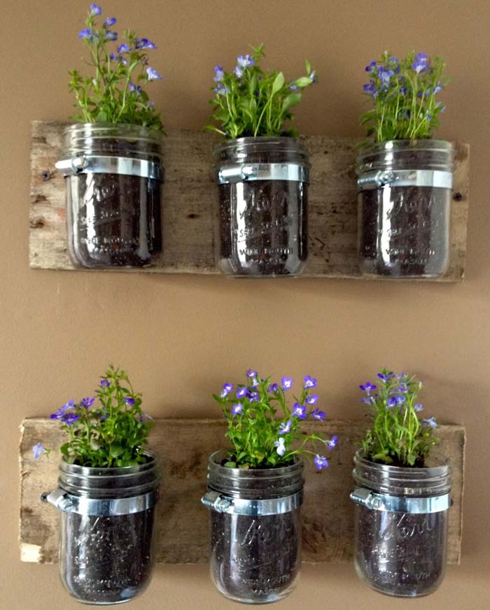 Pots Mason suspendus avec des fleurs en croissance #farmhouse #springdecor #decorhomeideas